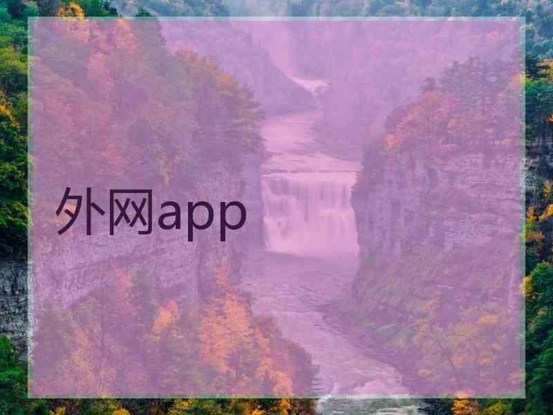 外网app