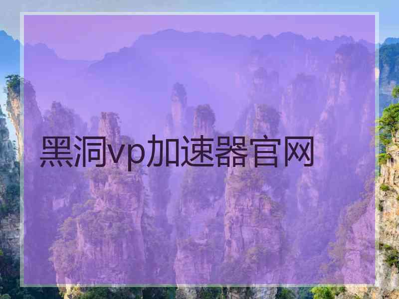 黑洞vp加速器官网