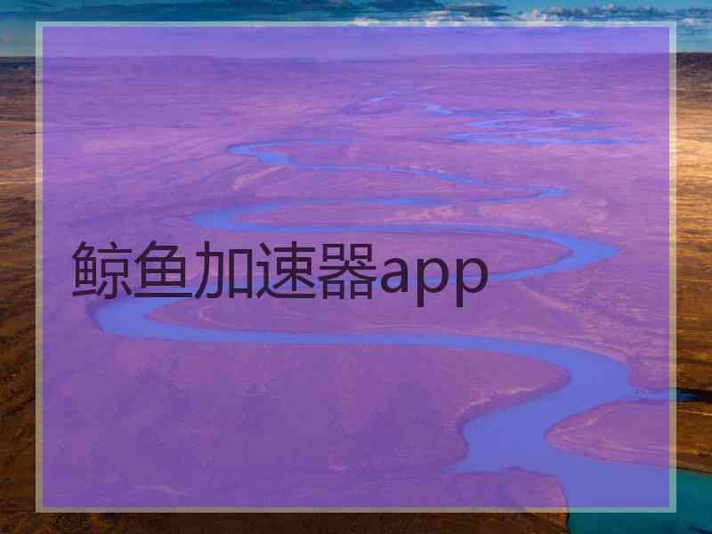 鲸鱼加速器app
