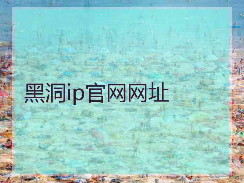 黑洞ip官网网址