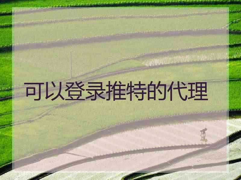 可以登录推特的代理